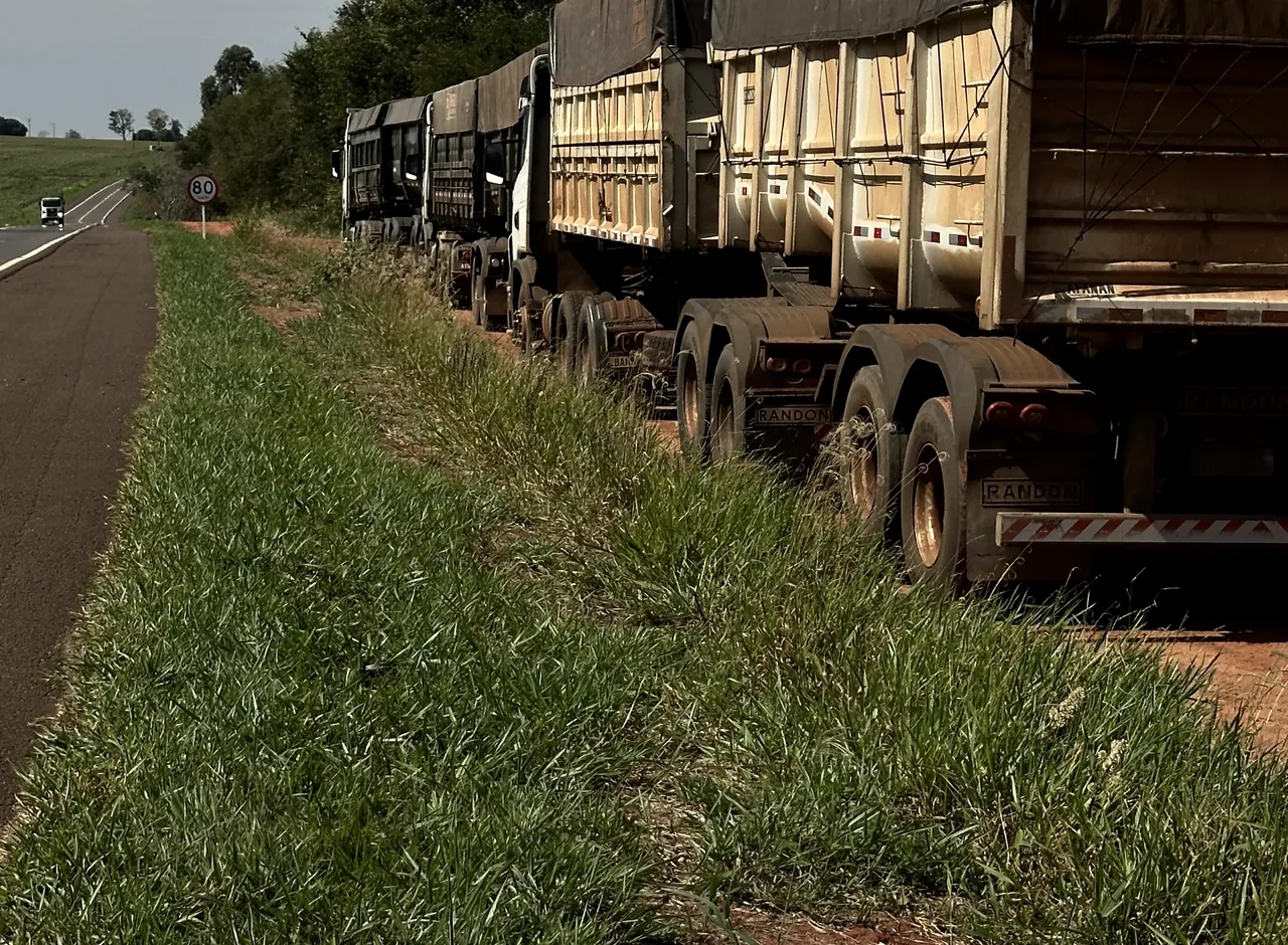 Caminhões parceiros organizados para uma operação da Trindade Agro